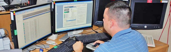 curso a distancia online de experto en bases de datos