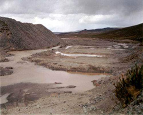 Curso online de Evaluaci�n del Impacto Ambiental